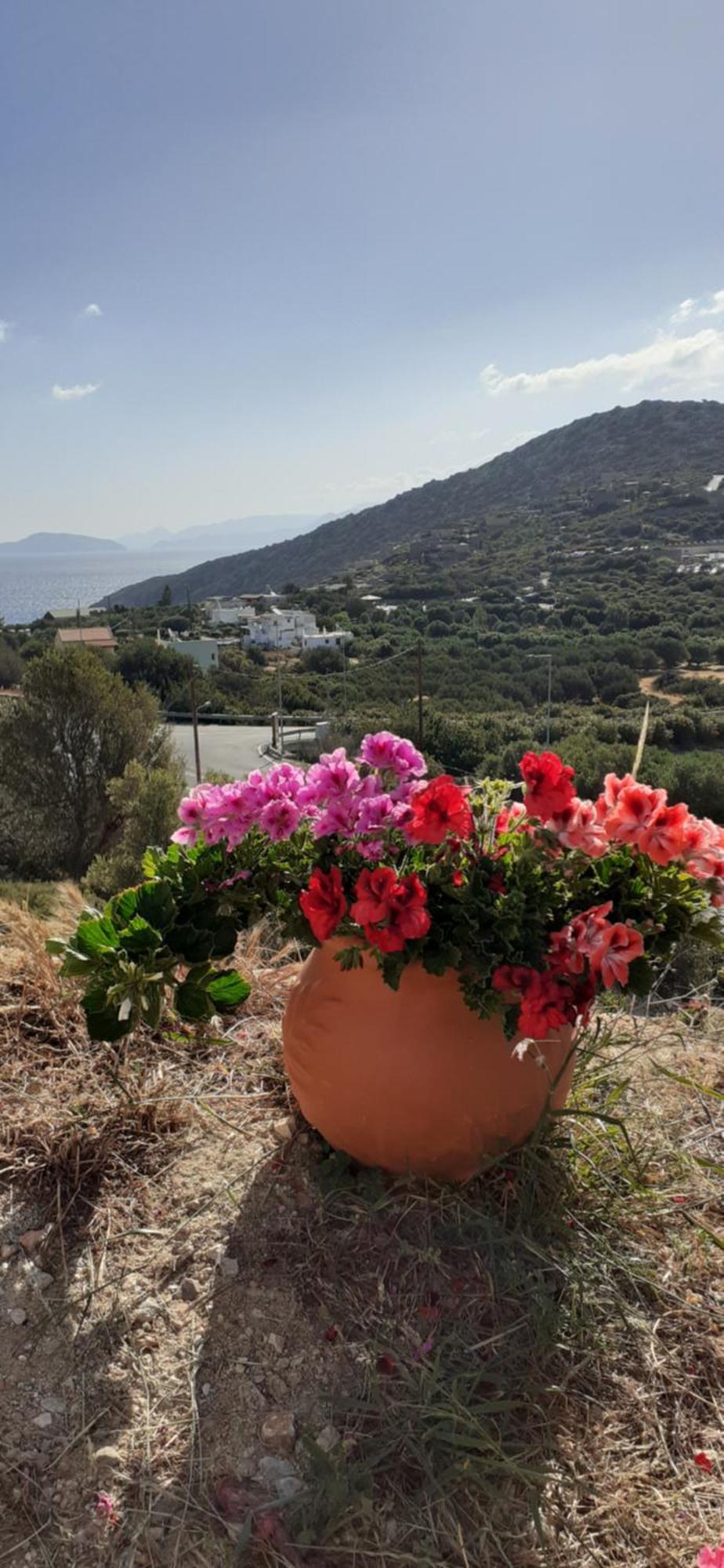 Hari Apartments Vathi, Agios Nikolaos Crete Dış mekan fotoğraf