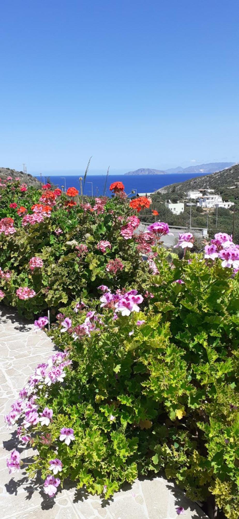 Hari Apartments Vathi, Agios Nikolaos Crete Dış mekan fotoğraf